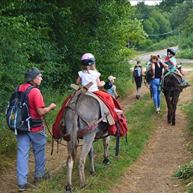 Discovery walk with Donkey'Âne