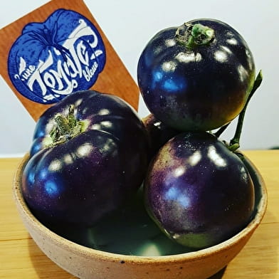 Une Tomate Bleue