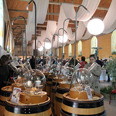Vinées Tonnerroises - Wine fair