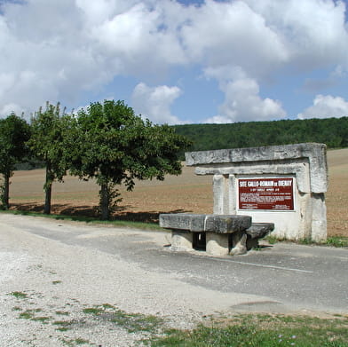 Villa gallo-romaine de Diénay
