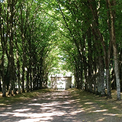 Parc du château de Ray-sur-Saône