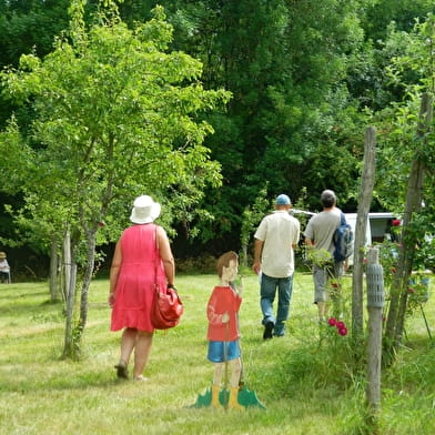Open day at the apple orchard & Picnic in the orchard