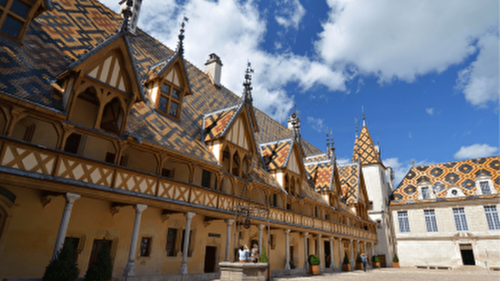 Discovering the vineyards and canals of Burgundy