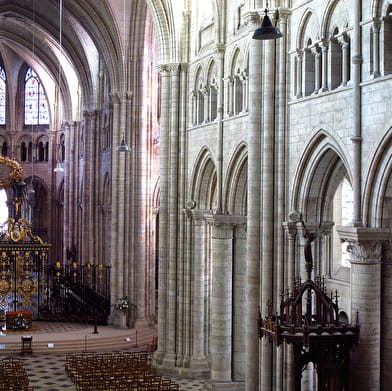 Guided tour of Saint-Etienne Cathedral