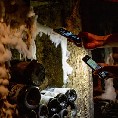 Gevrey Underground: 1,000 years of winegrowing history