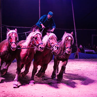Majaz'L equestrian show