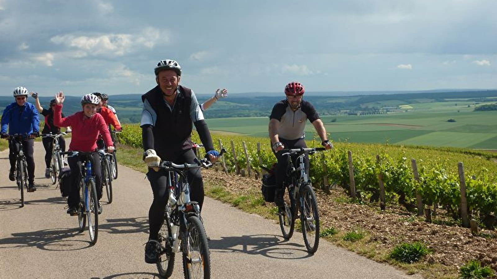 Guided bike ride - Auxerre vineyards - Escolives - Coulanges 