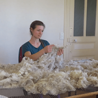 Workshop on the farm with Angora goats and wool