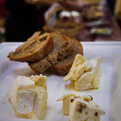 Bread and Wine and Cheese Tasting Salon