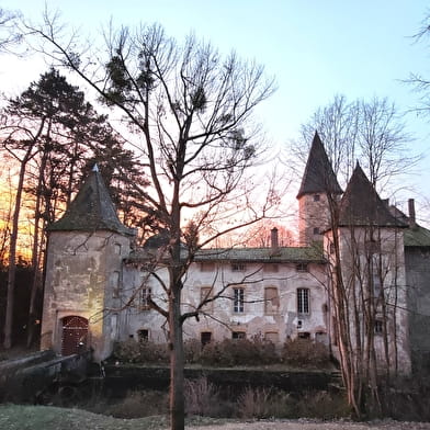 Château d'Estours