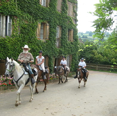 Horse-riding Stay
