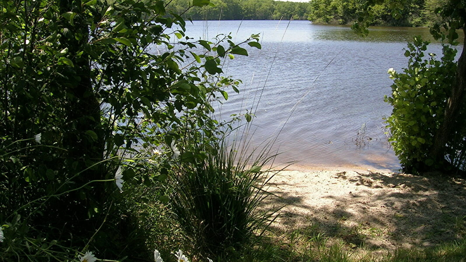 Camping vue du lac