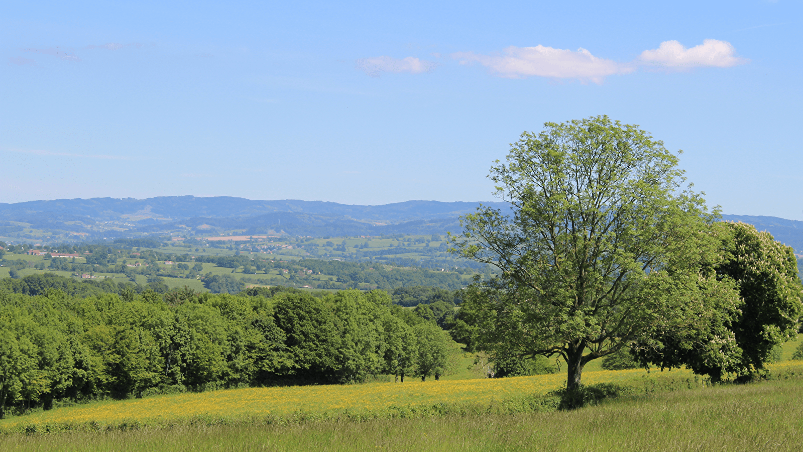 The Brionnais hills