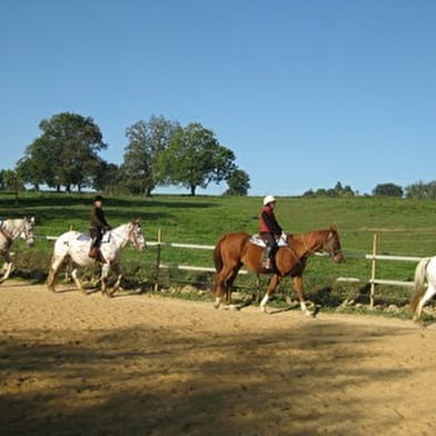 Horse-riding Stay for Adults