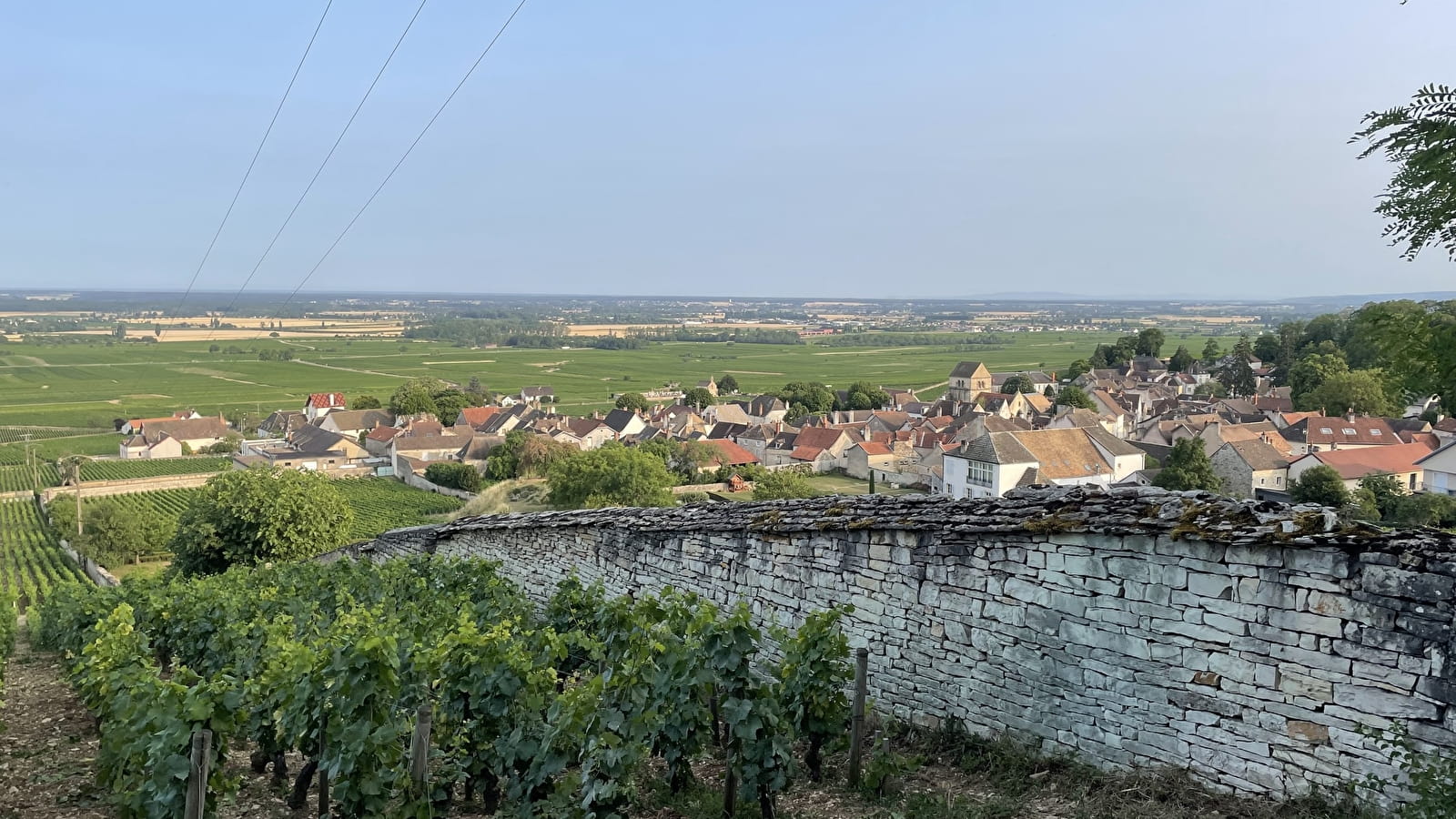 Aperitif with VUE - In the heart of Volnay