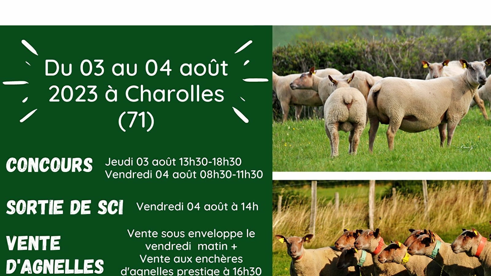 61st National Mouton Charollais Competition