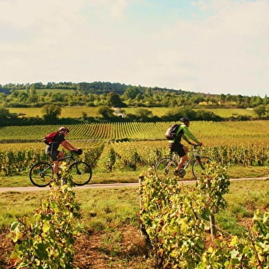 Cycling trip in Burgundy