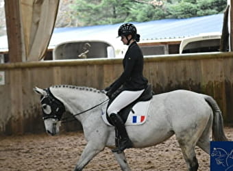 Dressage competition - CHATEAU-CHINON (CAMPAGNE)