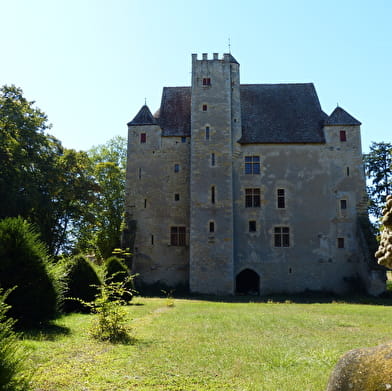 Guided tour of Château de Chevenon 