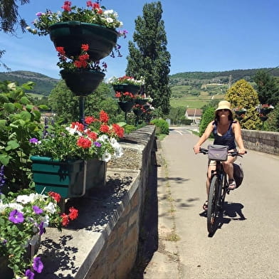 Active Tours : Vineyards by bike from Beaune to Mâcon (code: vanilla)