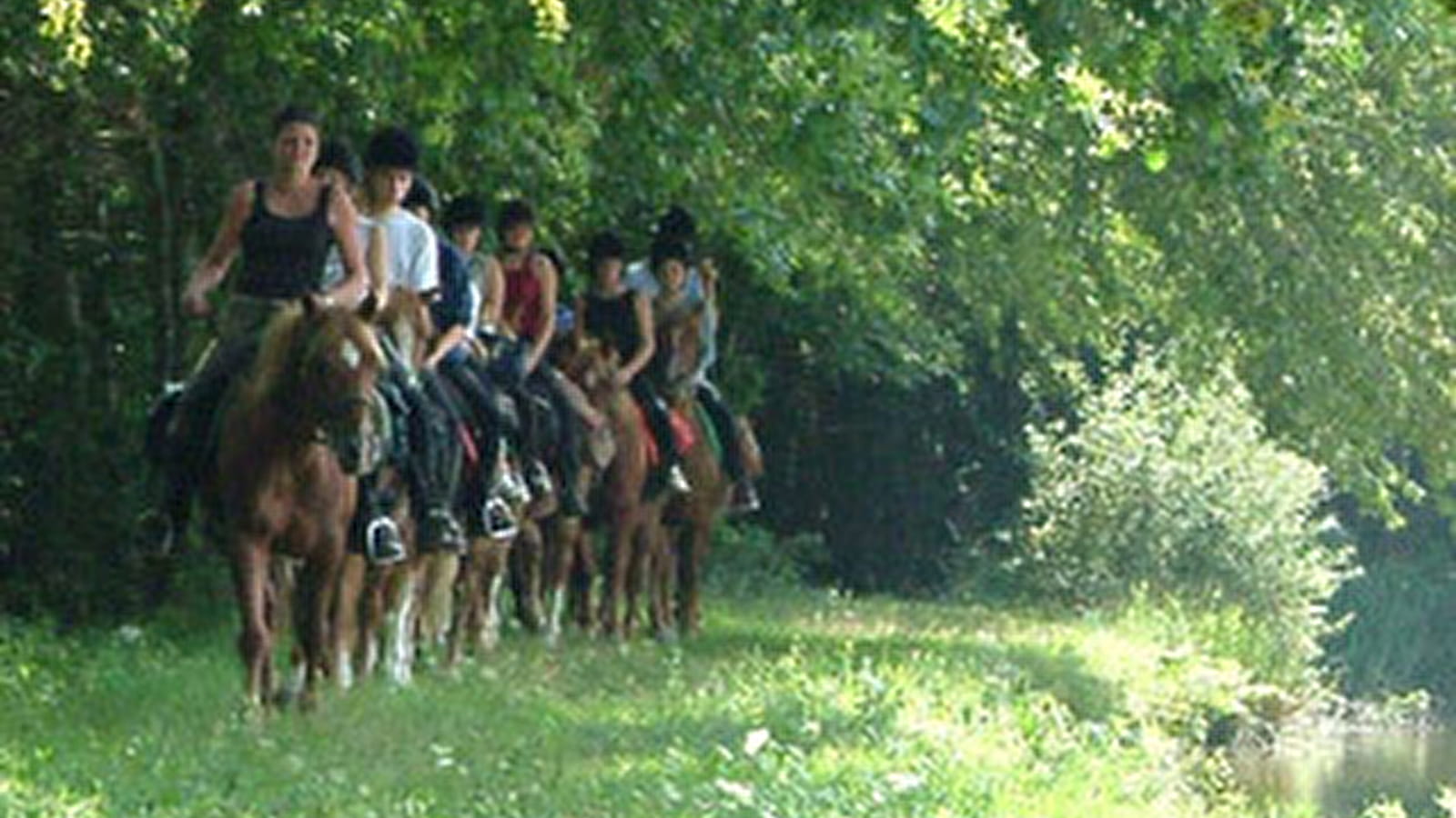 Rejoins la joyeuse bande des poneys de Prunevaux