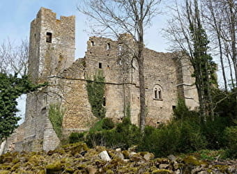 Château de Thil - VIC-SOUS-THIL