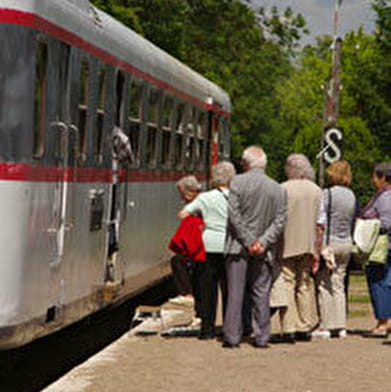 Train Touristique du Pays de Puisaye-Forterre