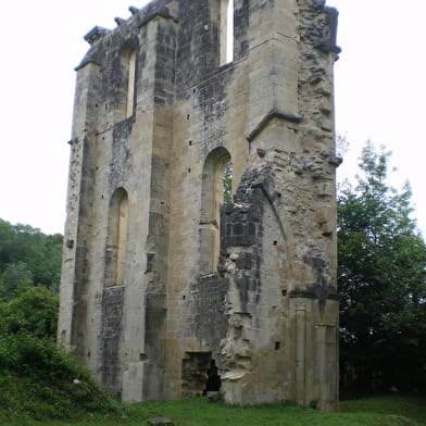 Vestiges de l'Abbaye de Cherlieu