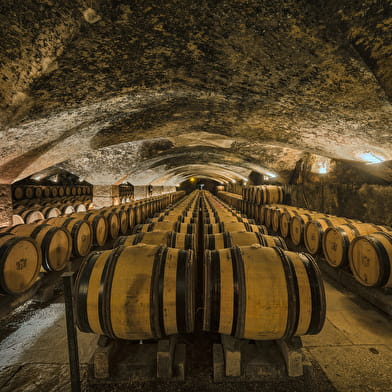 Festival de Bach à Bacchus - Visit the cellars of Château de Meursault and wine tasting 
