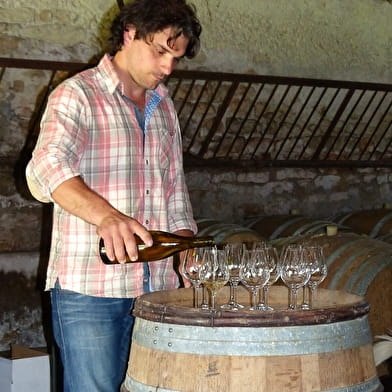 Visit to the 'La Perrine' cellar and vineyard 